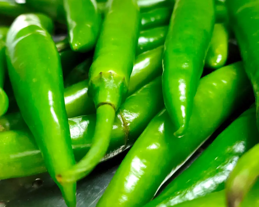 Green Chilli