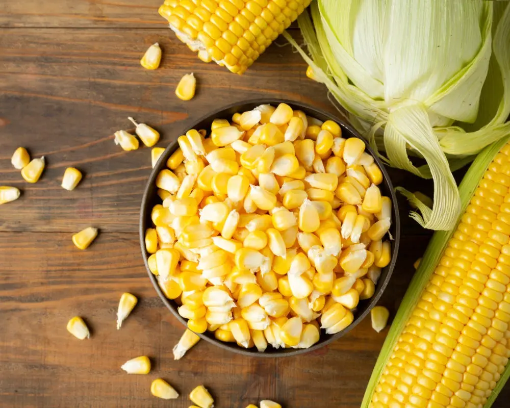 Sweet Corn Kernel